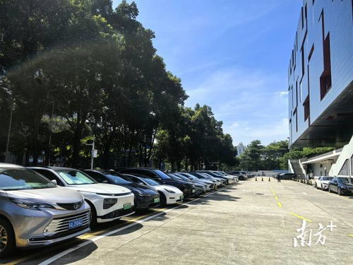 廣東省博物館回應車庫禁停新能源車 基于消防安全要求，非歧視性政策